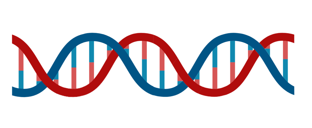 DNA DNA