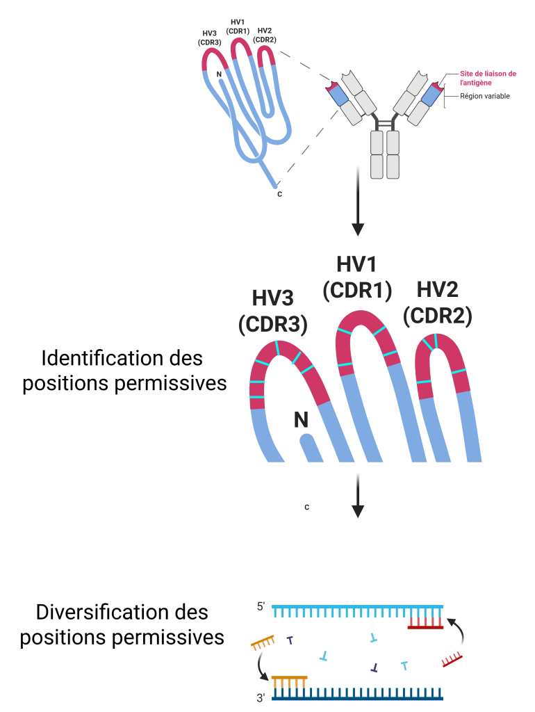 affinity pipeline 2 1 2 affinity pipeline 2 1 2