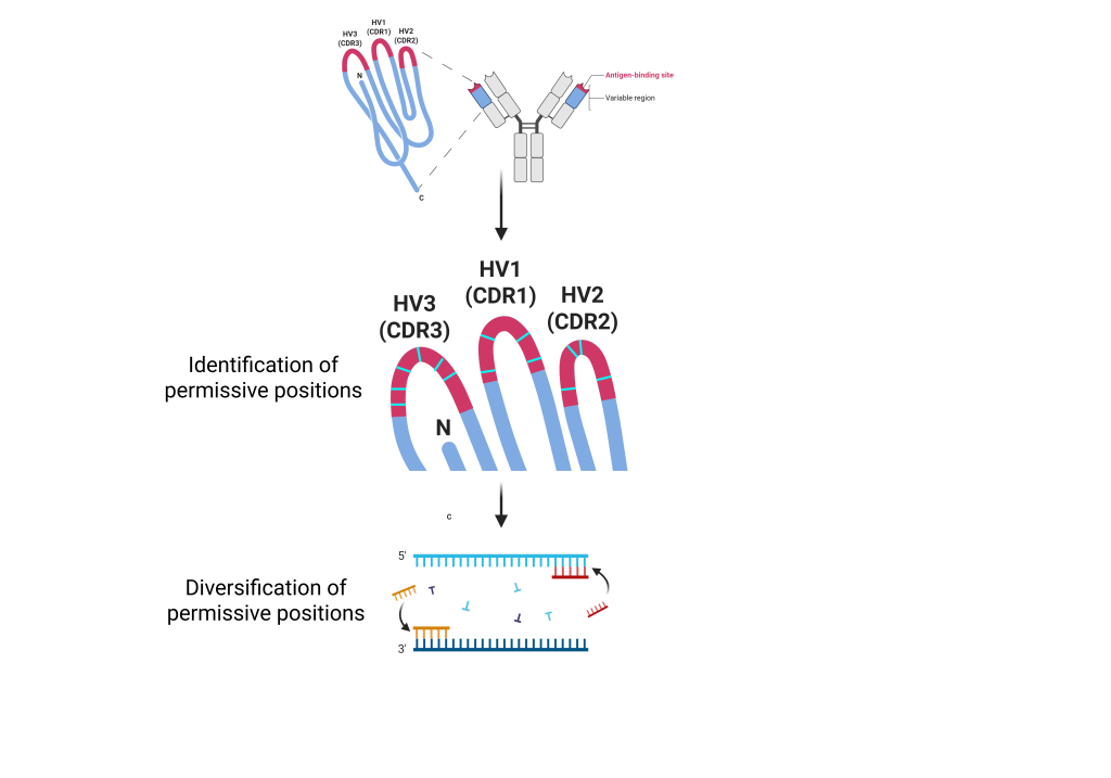 affinity pipeline 2 affinity pipeline 2