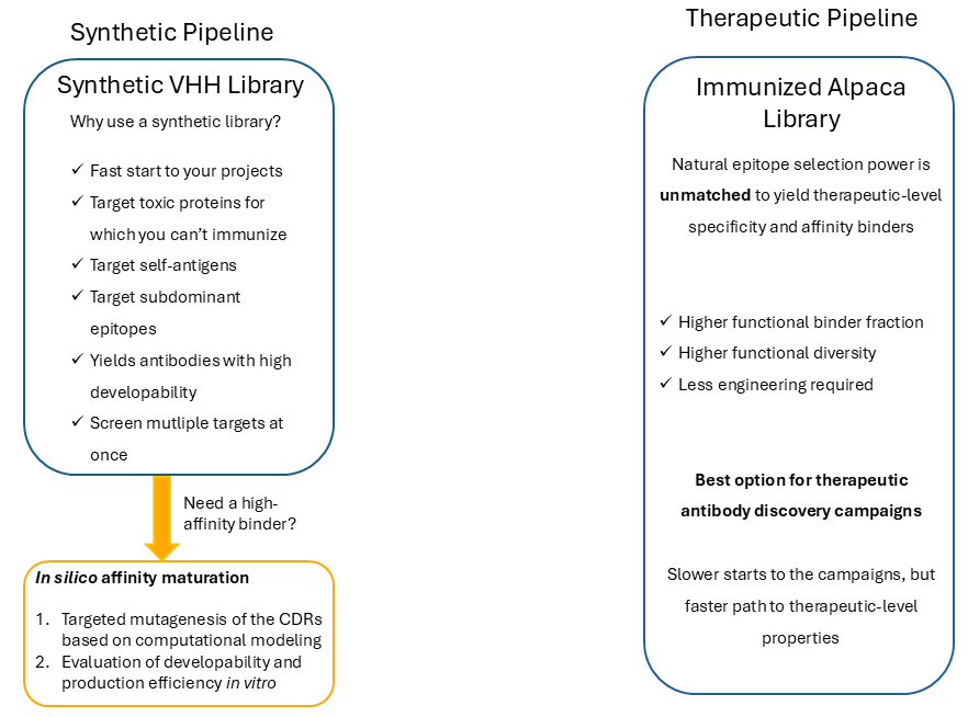 VHH pipelines 1